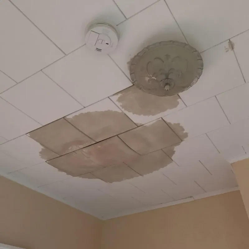 Ceiling Water Damage Repair in Prentiss, MS