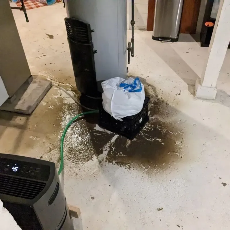 Sewage Backup Cleanup Service in Prentiss, MS